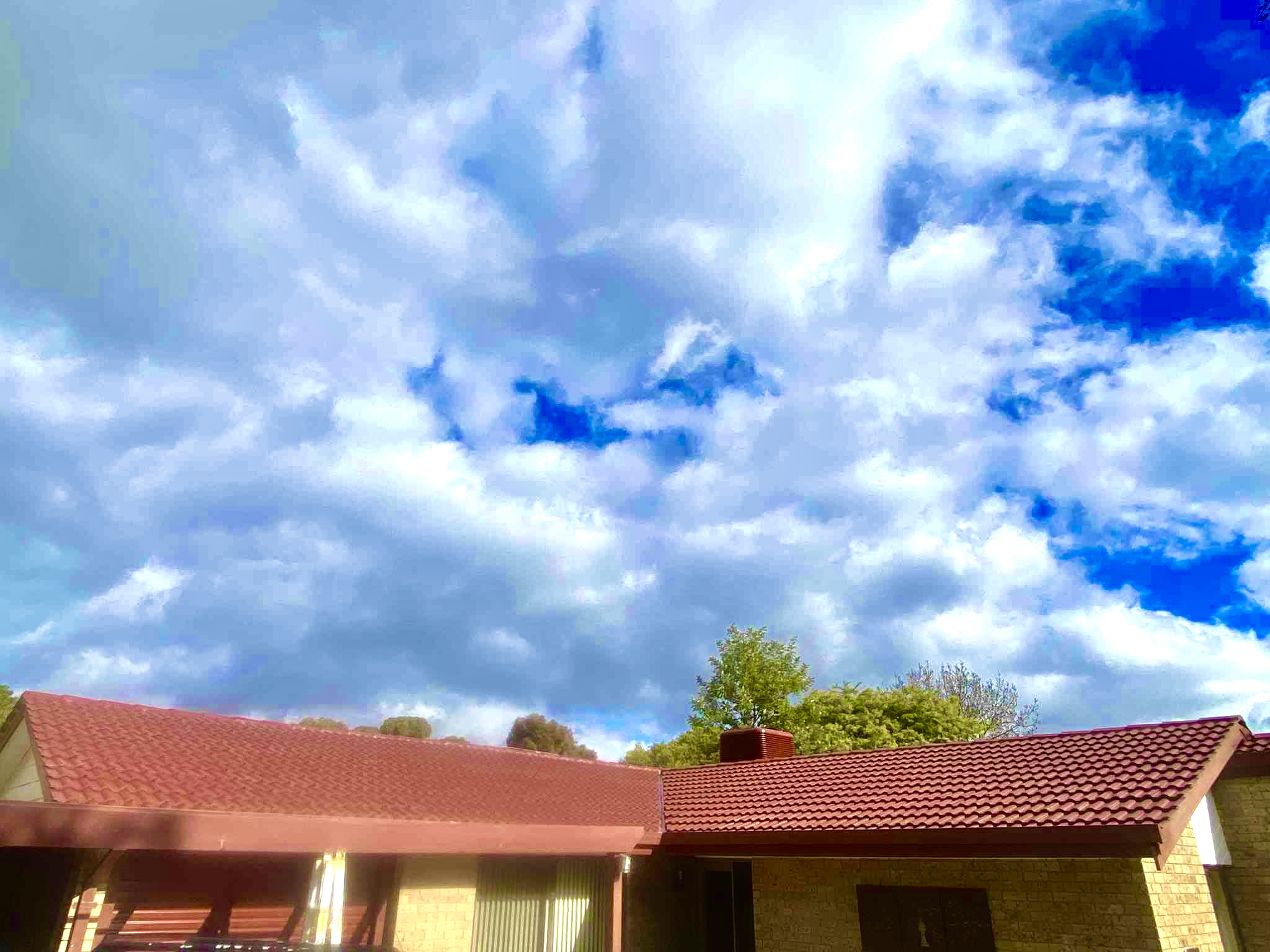 Freshly restored tiled roof in South Australia